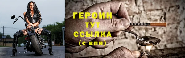 прущие грибы Заводоуковск