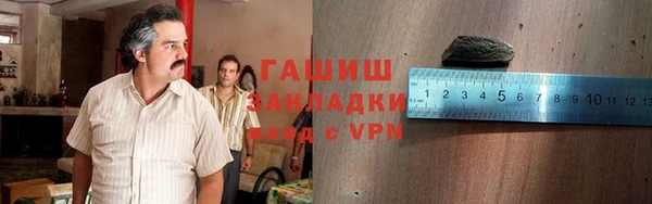 прущие грибы Заводоуковск