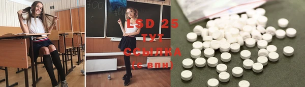 прущие грибы Заводоуковск