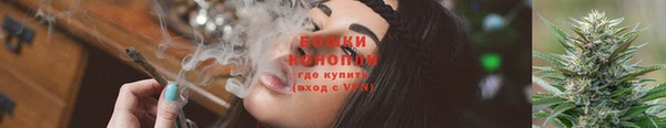 гидра Заволжск