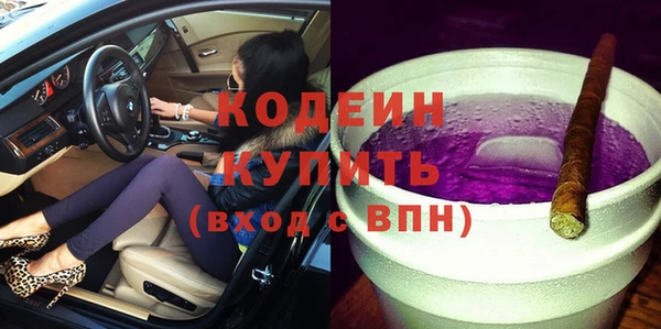 прущие грибы Заводоуковск