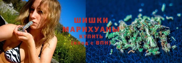 прущие грибы Заводоуковск