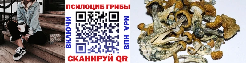 Купить  Ирбит  Псилоцибиновые грибы мухоморы 